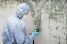 Mold Remediation for Rental Properties in Princeville, IL